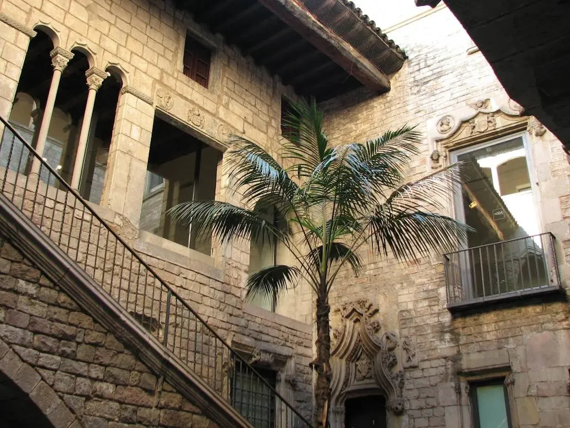 Palmera que crece en el patio de un edificio histórico de piedra con detalles arquitectónicos ornamentados.