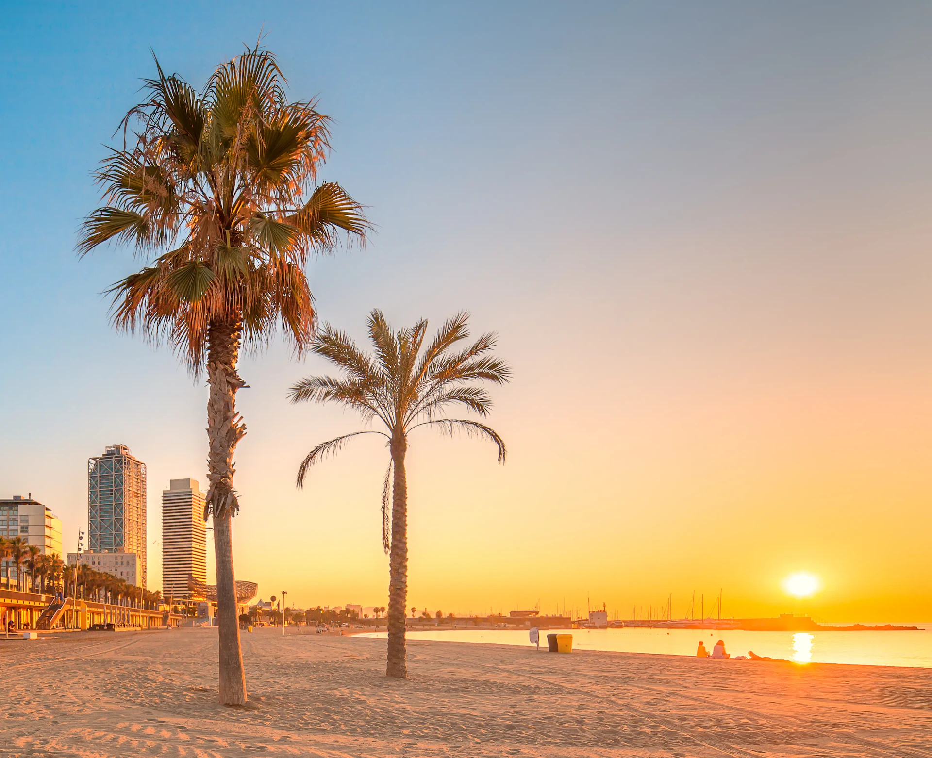 Palm trees on a Barcelona beach at sunset with city buildings and boats in the harbor.