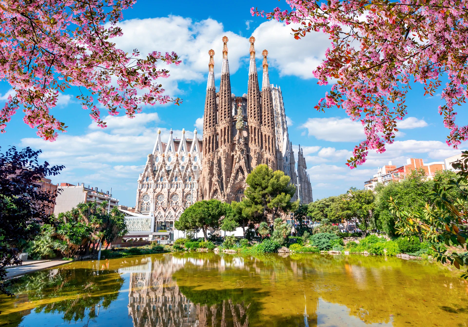 La catedral de la Sagrada Familia reflejada en el agua con árboles de flores rosas enmarcando la vista.