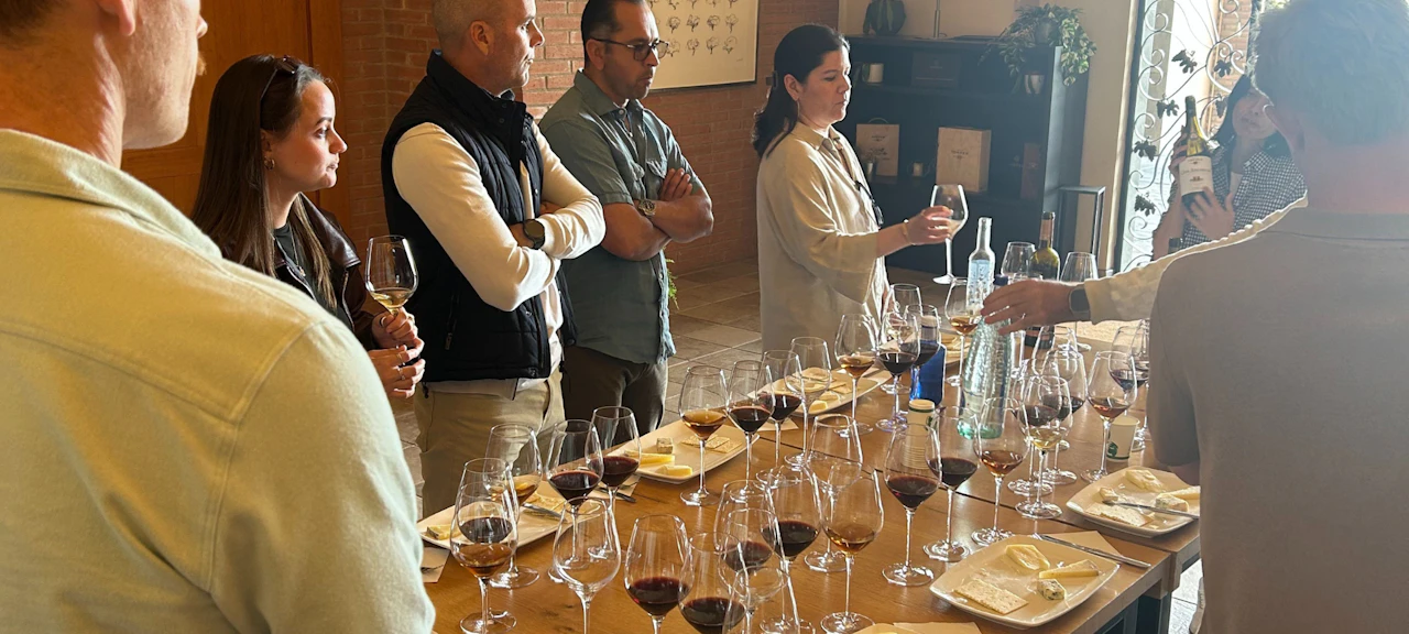 Vi&ntilde;edos de Familia Torres en el Pened&egrave;s