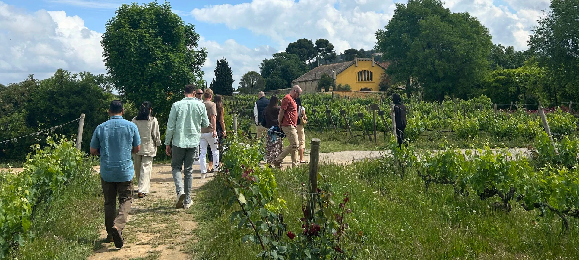 Grupo de personas caminando entre las hileras de viñedos hacia una casa de campo amarilla.