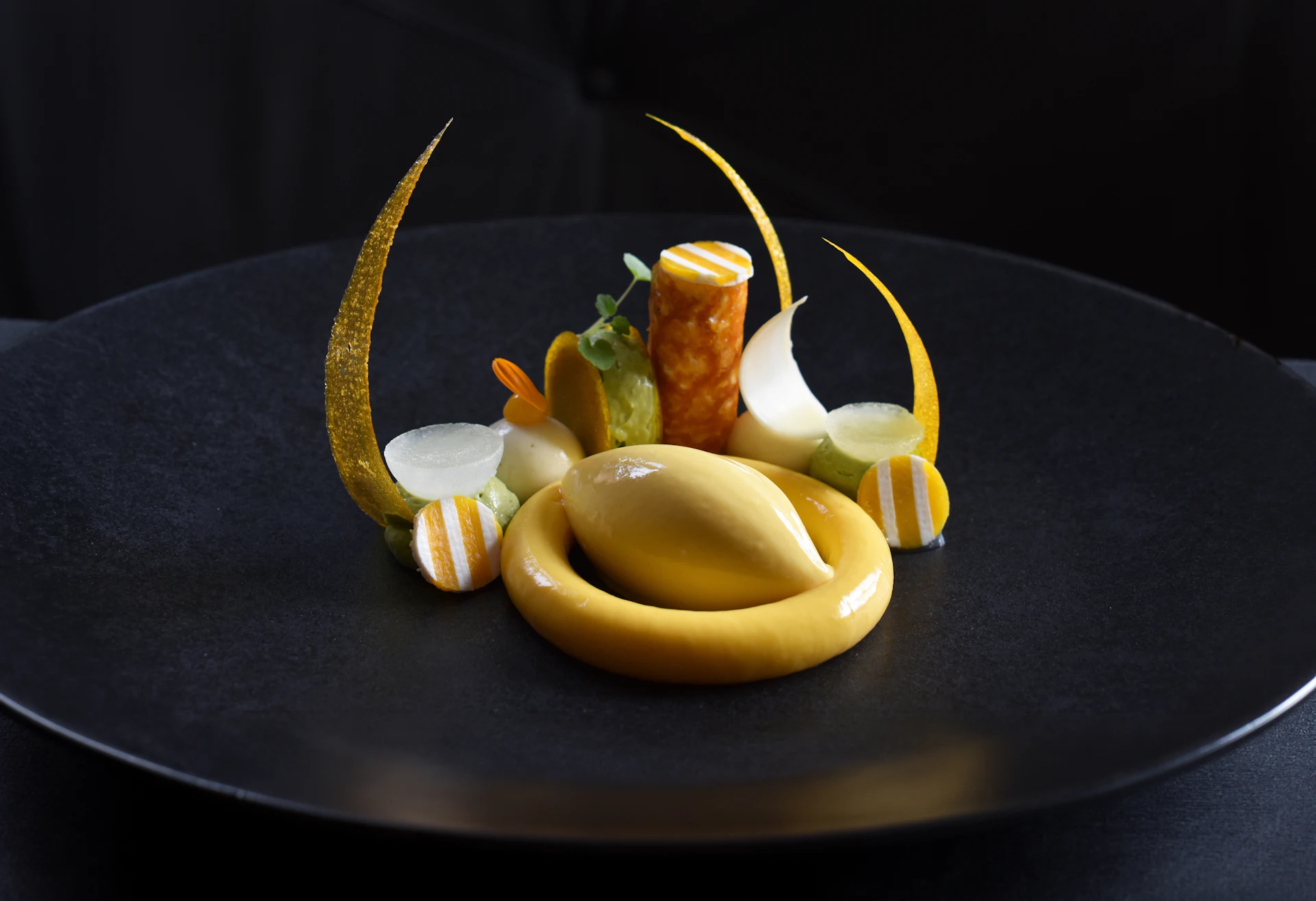 Plated gourmet dessert with quenelle, gel rings and sugar decorations on a black plate.