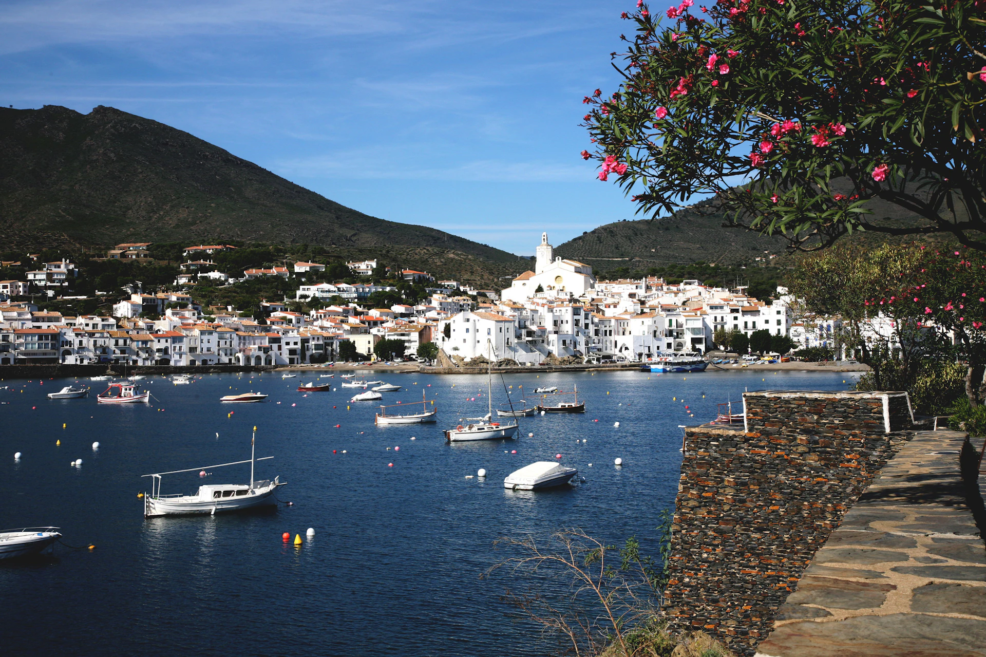 Coastal Mediterranean town with moored boats, white buildings, and pink flowering vines in foreground.