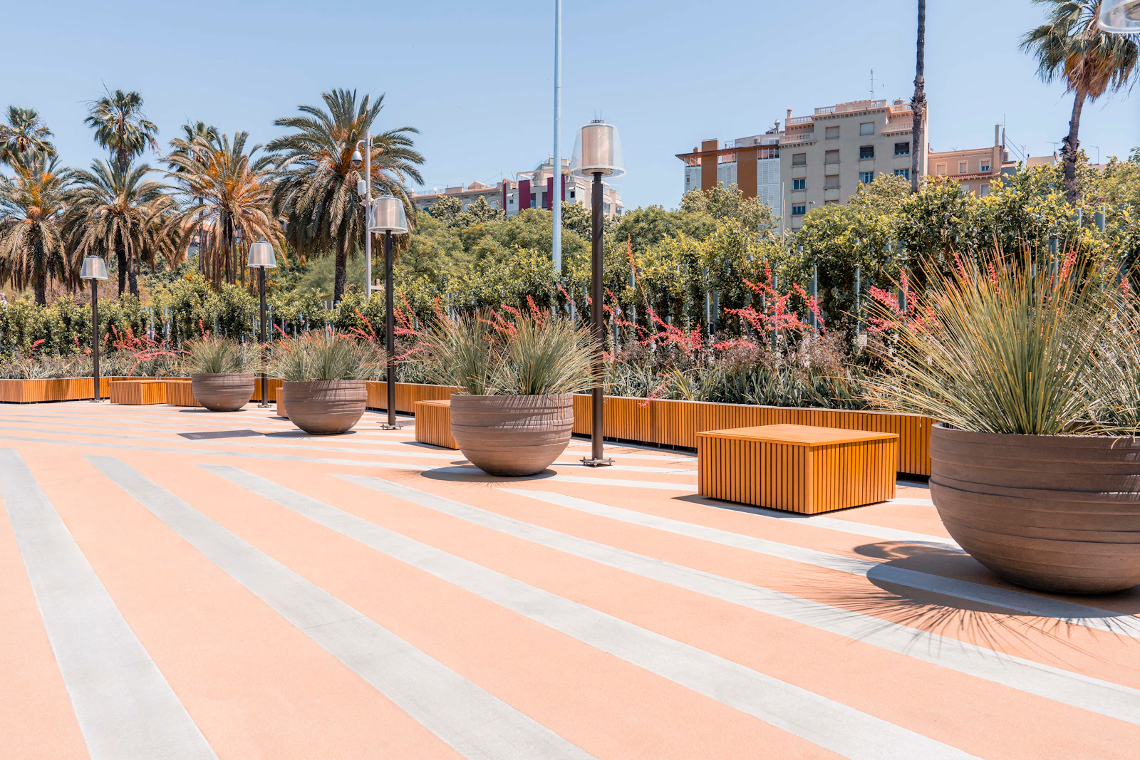 A striped promenade with planters, wooden benches and palm trees under a clear sky.