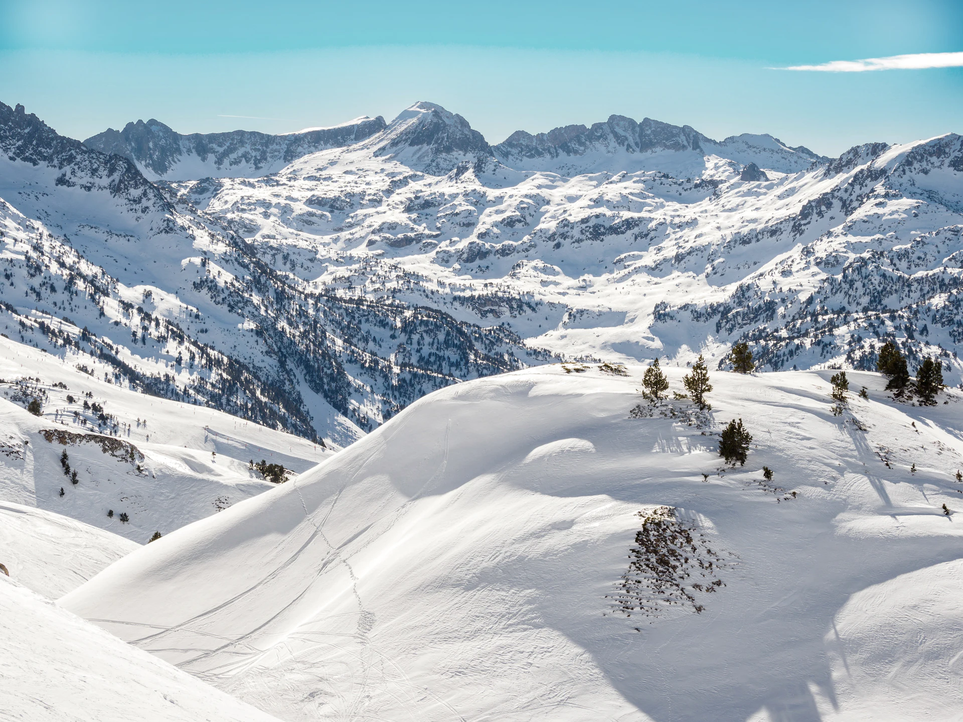 Snow-covered mountain range with scattered pine trees under a clear blue sky.
